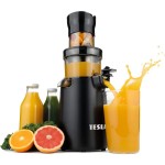 SJ500 XL SLOWJUICER TESLA