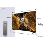 75X11L QLED TV TCL