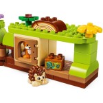 10480 Les plný objevů a div. Zvíř. LEGO