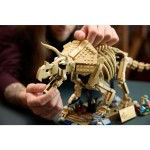 77985 Dinosauří fosilie Triceratops LEGO