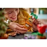 76474 Rostliny z hod. bylinkářství LEGO