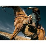 MISSION 1 PRO GOPRO