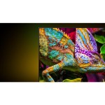 75U7S PRO QLED TV HISENSE