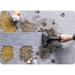 INSTANT CLEAN IT COMPACT ANIMAL ROWENTA