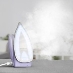 DB1612E0 TRAVEL IRON FIRST CLASS TEFAL
