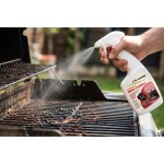 621037 SPREJ NA BBQ / TROUBY MELICONI
