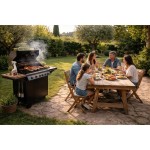 621037 SPREJ NA BBQ / TROUBY MELICONI