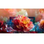 50Q7S QLED TV HISENSE