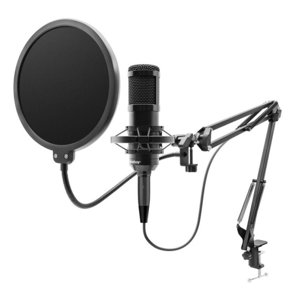 VOICE Handle Mikrofon NICEBOY