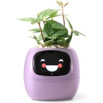 Ivy fialový PLANTSIO
