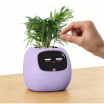 Ivy fialový PLANTSIO