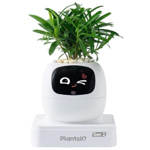 Ivy 2 gen. bílý PLANTSIO