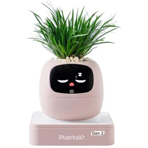 Ivy 2 gen. růžový PLANTSIO