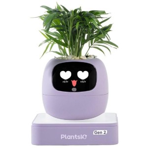 Ivy 2 gen. fialový PLANTSIO