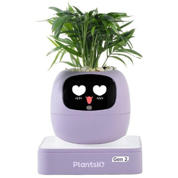Ivy 2 gen. fialový PLANTSIO