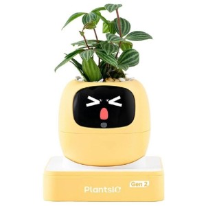 Ivy 2 gen. žlutý PLANTSIO