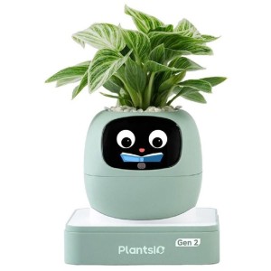 Ivy 2 gen. zelený PLANTSIO