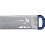 USB DataTraveler Kyson G2 256GB KINGSTON