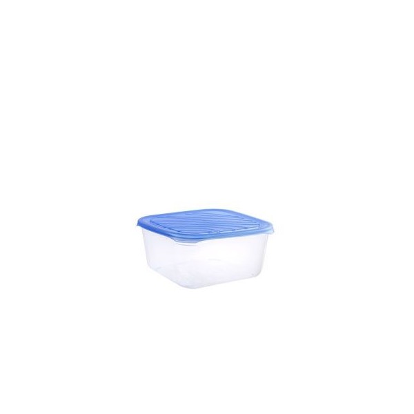 Mega Plast, Dóza Frigo basic 19 x 19 x 9 cm (2 l), hranatá, růžová, žlutá, modrá nebo zelená