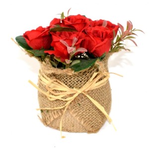 DUE ESSE, Červené růže v květináči z juty, 15 cm