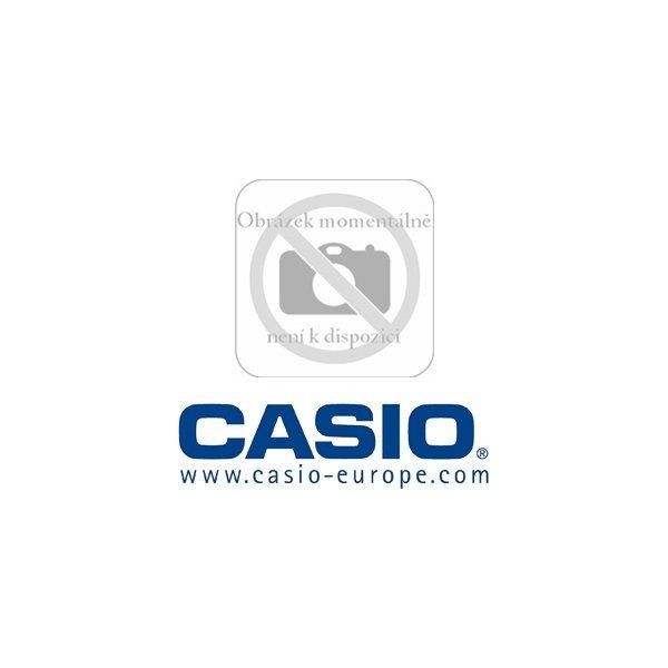 DT 5057 CF LASER SCANNER CASIO