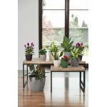 LAMELA, květináč  MAGNOLIA JERSEY, průměr 360 mm, šedý