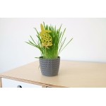 LAMELA, květináč  MAGNOLIA JERSEY, průměr 360 mm, antracit